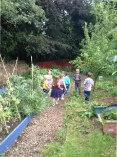 Happy Days Nursery Garden Club